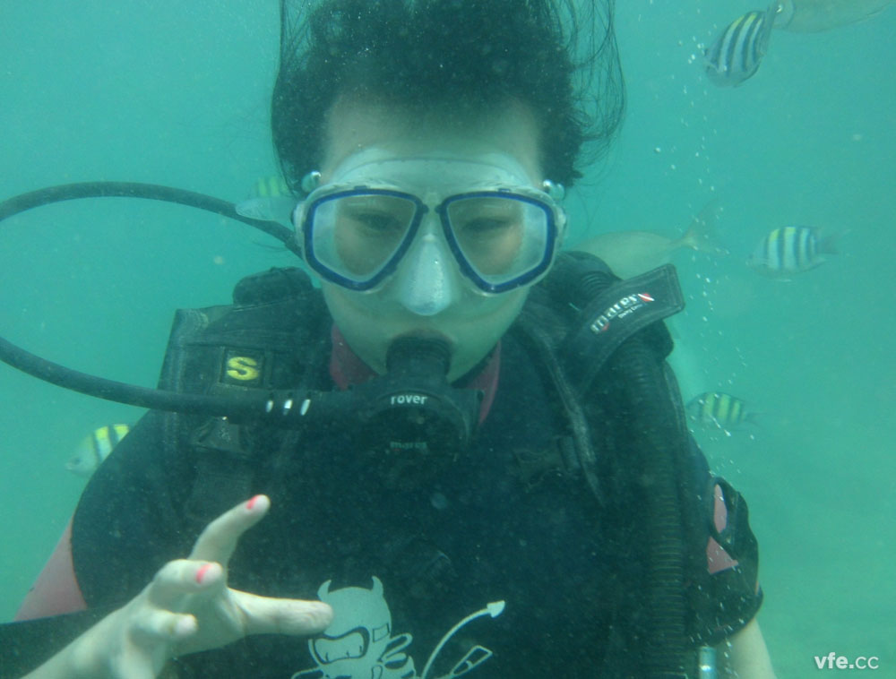 维多利亚老品牌vic电气之泰国跨年行 (5)