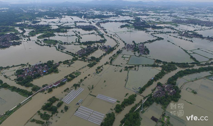大宗的良田被淹