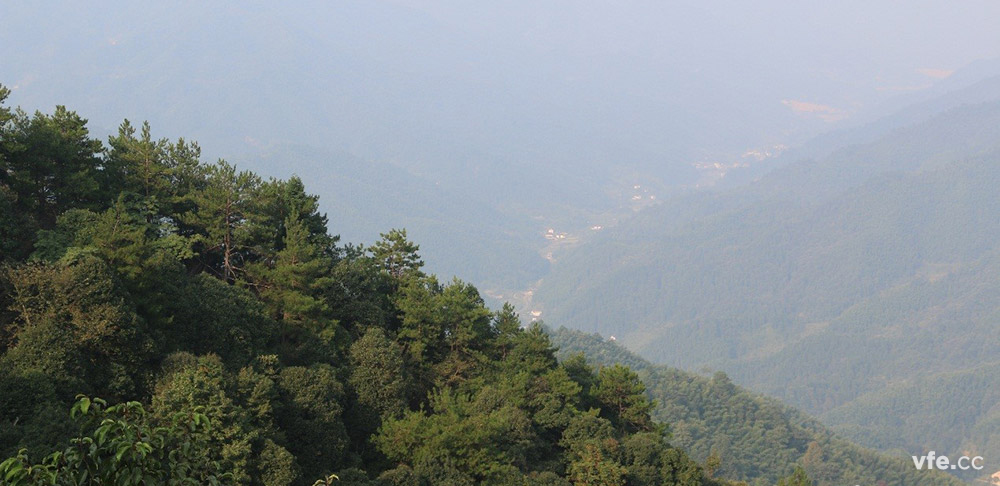 维多利亚老品牌vic(集团)官方网站