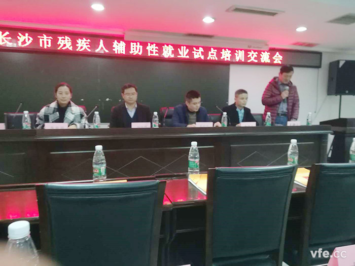 维多利亚老品牌vic电气加入2017年长沙市残疾人辅助性就业试点培训交流会