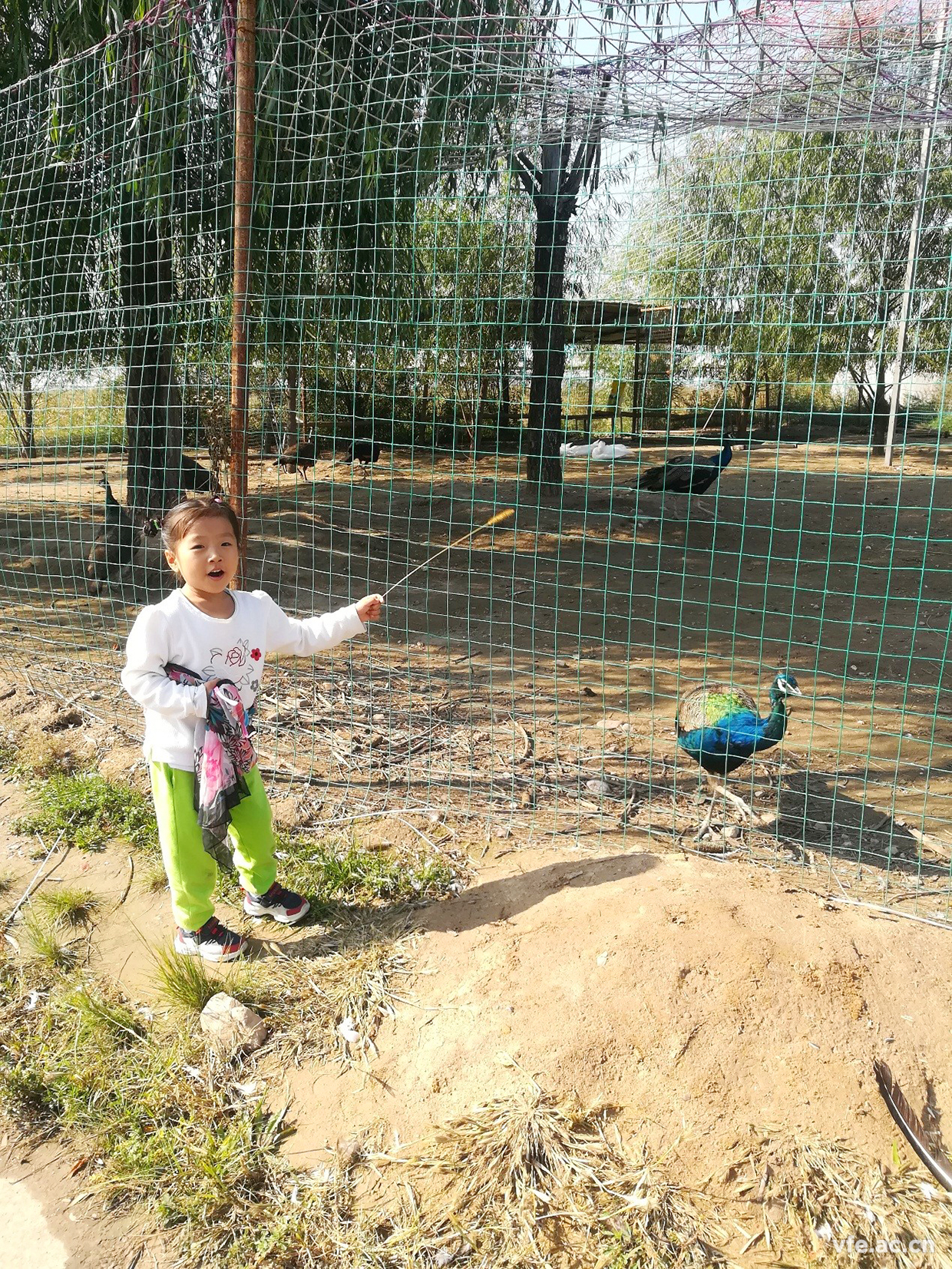 内蒙之行，难忘之旅