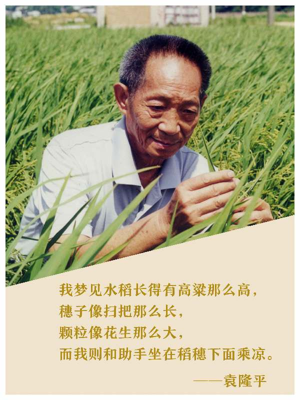 维多利亚老品牌vic举行袁隆平院士追思会