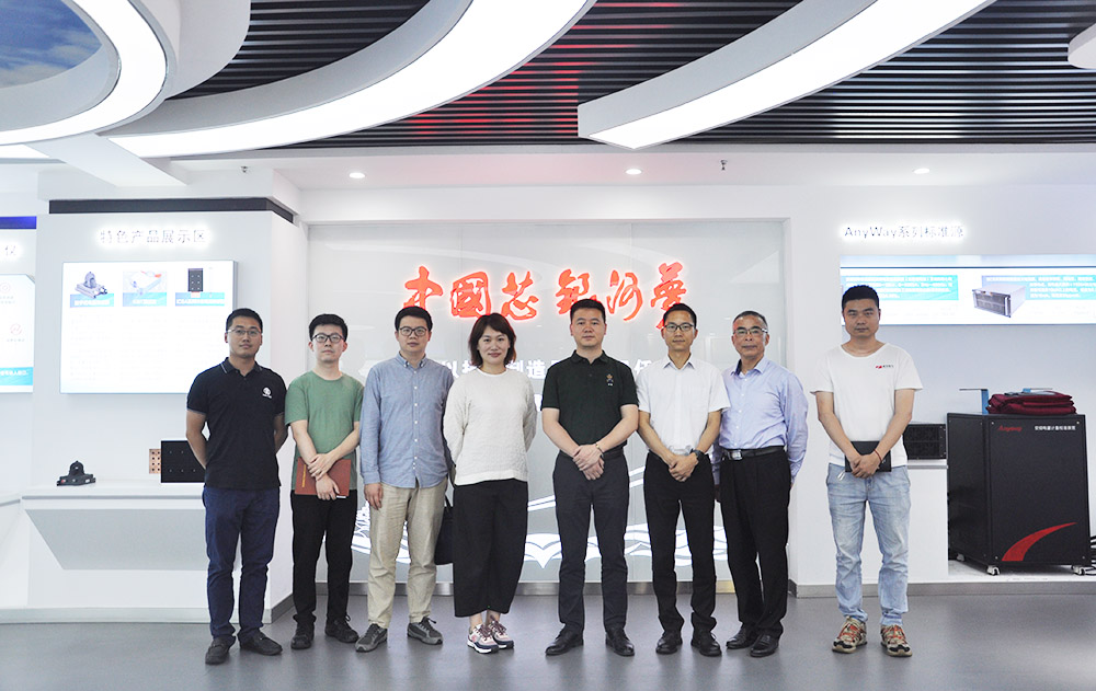 长沙经开区工业生长局向导莅临维多利亚老品牌vic电气检查指导