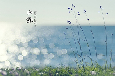 白露降，秋意浓