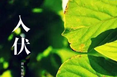 入伏在即，酷暑将至