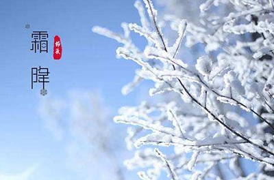 叶落草枯，秋晚凝霜