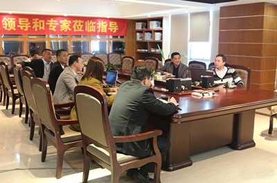 风能巨头“维斯塔斯”莅临湖南维多利亚老品牌vic电气考察