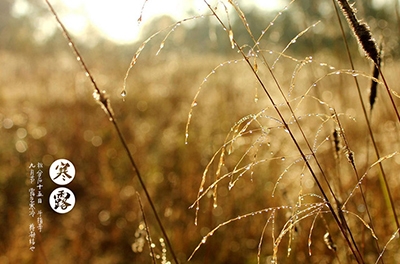 寒露已至，注重添衣防寒