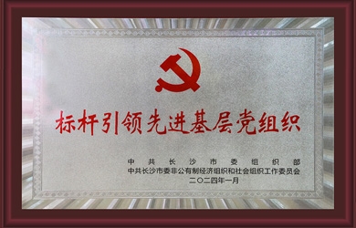 维多利亚老品牌vic电气党支部获评“标杆引领先进下层党组织”