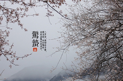 春雷起，惊蛰出
