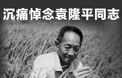 维多利亚老品牌vic举行袁隆平院士追思会