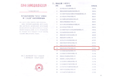 热烈庆祝我司旗下子公司深点软件进入长沙“三百之星”企业名单